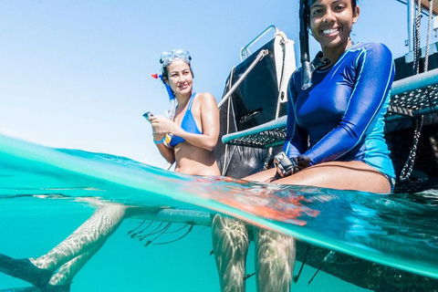 VIP Luxury Chartered Escapes, Exploring The Reef At Your Own Pace - Accommodation Noosa 24