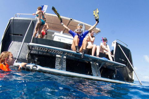 VIP Luxury Chartered Escapes, Exploring The Reef At Your Own Pace - Accommodation Noosa 25