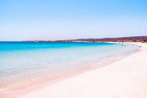 VIP Luxury Chartered Escapes, Exploring The Reef At Your Own Pace - Accommodation Noosa 45