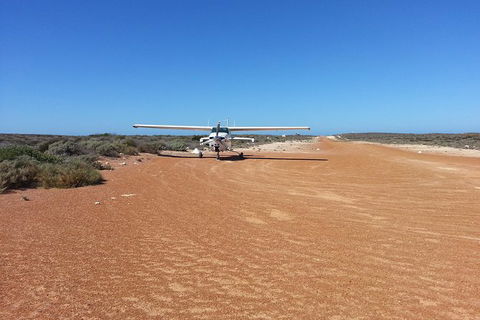 Abrolhos Islands Scenic Flight & Snorkel Adventure From Perth - Accommodation Noosa 6