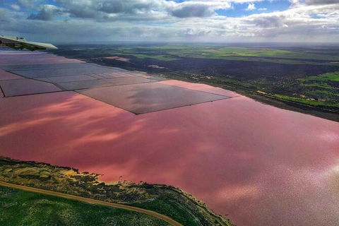 Kalbarri, Pink Lake And Abrolhos Islands Nature Tour - Accommodation Noosa 3