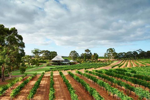 Vasse Felix Winery Tour And Tasting - Accommodation Noosa 0