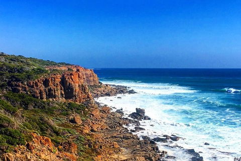 Guided Walks On The Cape To Cape - Wilyabrup Cliffs - Accommodation Noosa 2