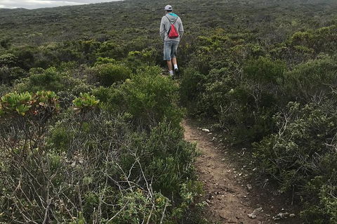 Cape To Cape Track Hike And Winery Tour - Accommodation Noosa 1