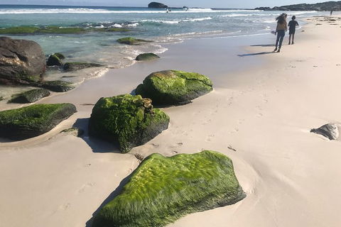 Cape To Cape Track Hike And Winery Tour - Accommodation Noosa 7