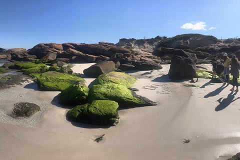 Cape To Cape Track Hike And Winery Tour - Accommodation Noosa 11