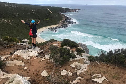 Cape To Cape Track Hike And Winery Tour - Accommodation Noosa 6