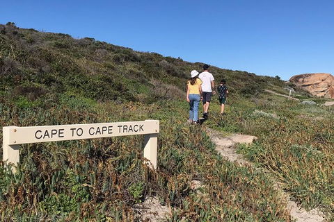 Cape To Cape Track Hike And Winery Tour - Accommodation Noosa 4