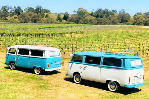 VW Kombi Wine Tour In The Swan Valley - Accommodation Noosa 6