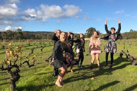 VW Kombi Food, Wine And More Tour (bring The Kids!) - Accommodation Noosa 3