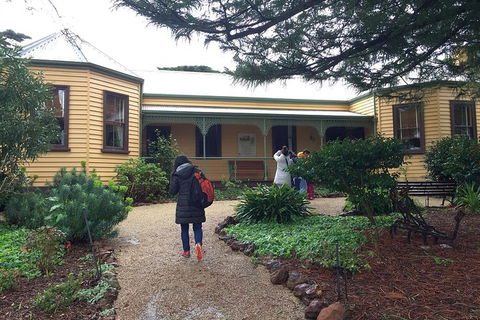 Day Tour Of Phillip Island Nature Parks & Penguins - Accommodation Noosa 7