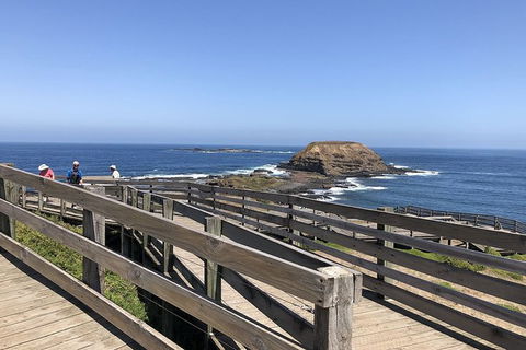 Day Tour Of Phillip Island Nature Parks & Penguins - Accommodation Noosa 9