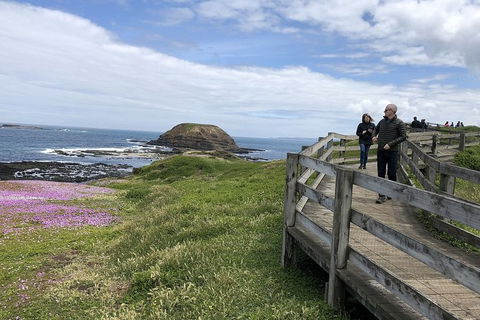 Day Tour Of Phillip Island Nature Parks & Penguins - Accommodation Noosa 10