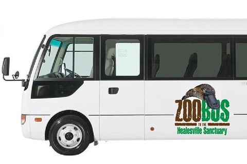 HEALESVILLE SANCTUARY ZOOBUS - MELBOURNE CITY RETURN - Accommodation Noosa 1