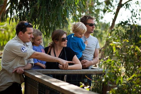 Phillip Island Koala Conservation Centre: Entry Ticket - Accommodation Noosa 1