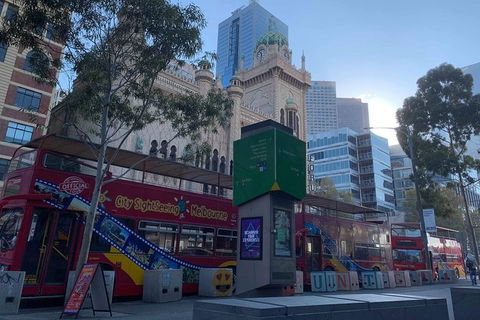 City Sightseeing Melbourne 24 Hour Bus Pass & Melbourne Star - Accommodation Noosa 0