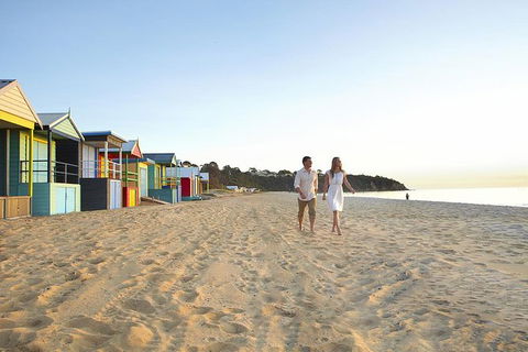 Around The Bay Sightseeing And Bay Cruise - Accommodation Noosa 6