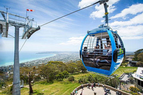 Around The Bay Sightseeing And Bay Cruise - Accommodation Noosa 8