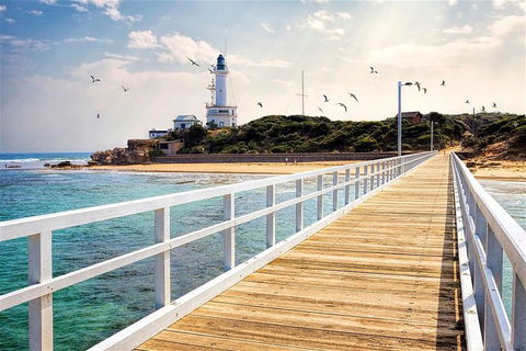 Around The Bay Sightseeing And Bay Cruise - Accommodation Noosa 9