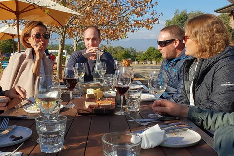 An Amazing Day With Felix - Premium Yarra Valley Wine Tour - Accommodation Noosa 0
