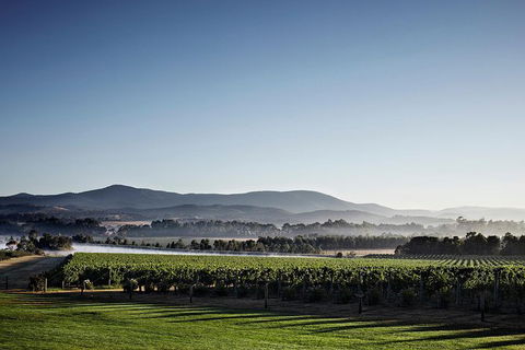 Chauffeur Driven Yarra Valley Group Wine Tour - Up To 7 - Accommodation Noosa 8