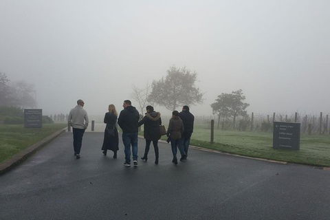 Chauffeur Driven Yarra Valley Group Wine Tour - Up To 7 - Accommodation Noosa 7