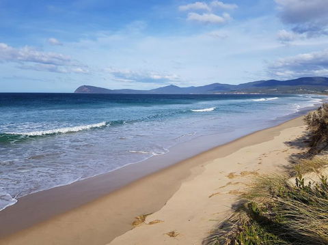 Bruny Island All Inclusive Gourmet Day Trip From Hobart - Accommodation Noosa 6