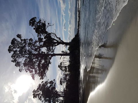 Bruny Island All Inclusive Gourmet Day Trip From Hobart - Accommodation Noosa 5