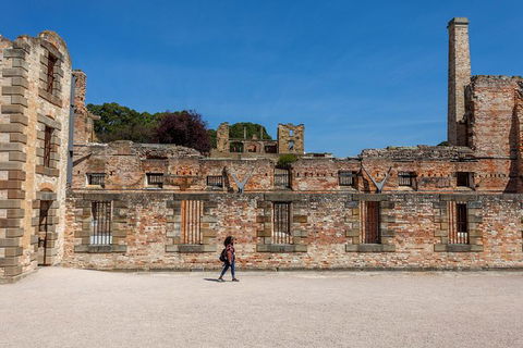 Port Arthur And Tassie Devils Active Day Tour From Hobart - Accommodation Noosa 7