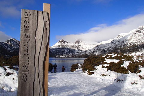Cradle Mountain Active Day Trip From Launceston - Accommodation Noosa 12