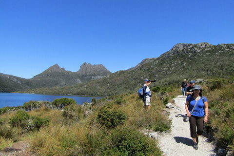 Cradle Mountain Active Day Trip From Launceston - Accommodation Noosa 9