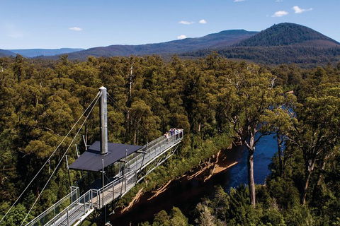 Cruise Ship Special From Hobart: Mt Wellington And Tahune AirWalk - Accommodation Noosa 6