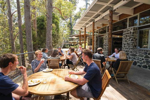 Cruise Ship Special From Hobart: Mt Wellington And Tahune AirWalk - Accommodation Noosa 7