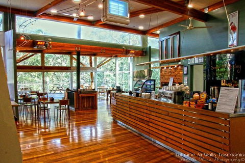 Cruise Ship Special From Hobart: Mt Wellington And Tahune AirWalk - Accommodation Noosa 5