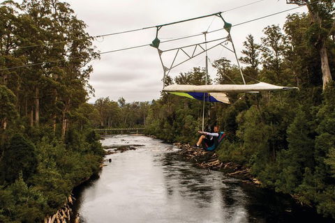 Cruise Ship Special From Hobart: Mt Wellington And Tahune AirWalk - Accommodation Noosa 3