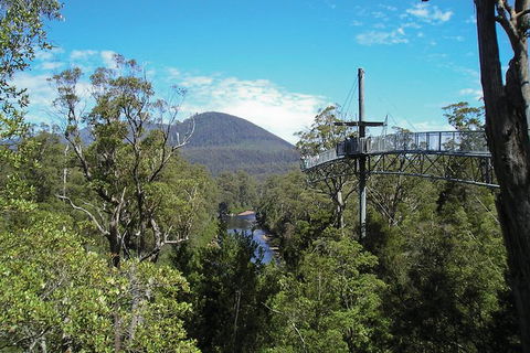 Cruise Ship Special From Hobart: Mt Wellington And Tahune AirWalk - Accommodation Noosa 4