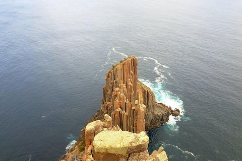 Cape Raoul Hiking Tour - Tasman National Park - Accommodation Noosa 1