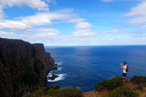 Cape Raoul Hiking Tour - Tasman National Park - Accommodation Noosa 0
