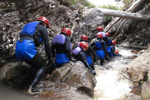 Half Day Cradle Mountain Canyoning: Lost World Canyon - Accommodation Noosa 1