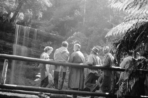 Guided Shore Excursion: Mt Field National Park Salmon Ponds Bonorong Wildlife - Accommodation Noosa 1