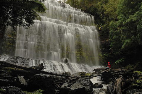 Guided Shore Excursion: Mt Field National Park Salmon Ponds Bonorong Wildlife - Accommodation Noosa 0