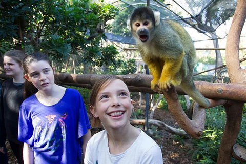 Adelaide Zoo Behind The Scenes Experience: Squirrel Monkey Feeding - Accommodation Noosa 1