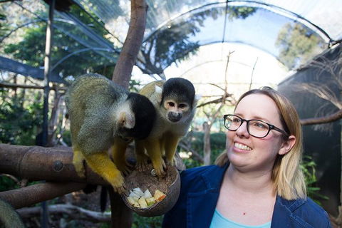 Adelaide Zoo Behind The Scenes Experience: Squirrel Monkey Feeding - Accommodation Noosa 0