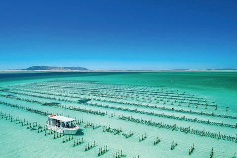 Coffin Bay Private Day Tour From Port Lincoln - A Taste Of Coffin Bay - Accommodation Noosa 0