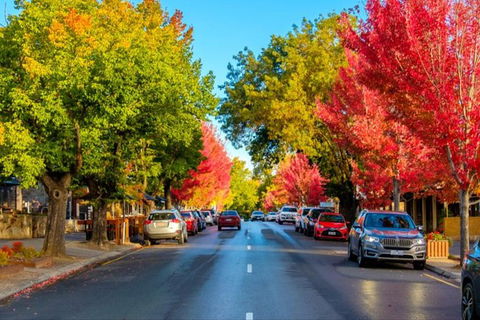 Adelaide City Highlights With Hahndorf And Mt. Lofty - Accommodation Noosa 7