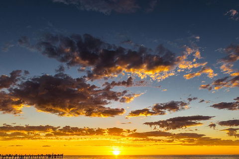 Adelaide Ocean Safari - Twilight Safari - Accommodation Noosa 1