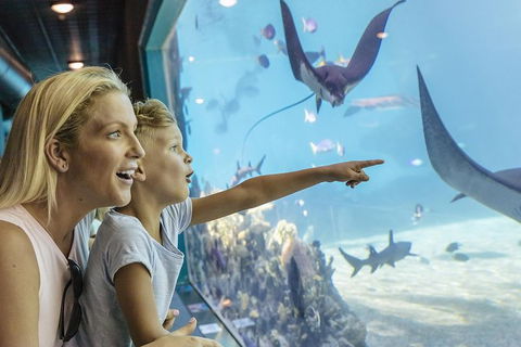 Gold Coast Theme Park Pass: Warner Bros. Movie World, Sea World And Wet'n'Wild - Accommodation Noosa 1
