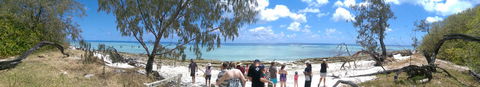 3-Day Southern Great Barrier Reef Tour Including Lady Musgrave Island - Accommodation Noosa 3