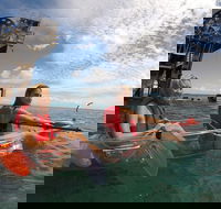 Moreton Island Day Trip Kayak Snorkel  Sandboard frm Brisbane or Gold Coast - Accommodation Noosa