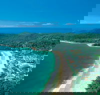 Sunshine Coast Hinterland and Noosa Day Trip from Brisbane Including Eumundi Markets and Ginger Factory - Accommodation Noosa